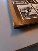 Dr&ouml;mmen om Amerika