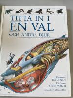 Titta in i en val och andra djur