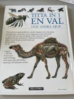 Titta in i en val och andra djur