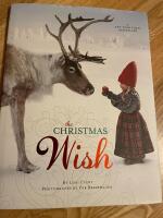 The christmas wish