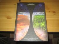 Andlig logik : en stor del av v&aring;r fysiska verklighet : [existentiellt romanlexikon, kanaliserat fr&aring;n en annan verklighet : best&aring;ende av 728 indexindelade textmassor : en resa genom hela din existens