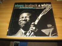 Blues in black & white - the landmark Ann Arbor blues festivals