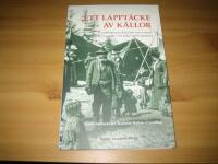 Ett lappt&auml;cke av k&auml;llor : kunskapsproduktion om romer och resande vid arkiv och museer