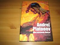 Den tvivlande Makar : ber&auml;ttelser & ess&auml;er fr&aring;n 1920-talet