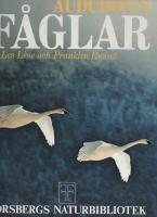 AUDUBON&acute;S F&Aring;GLAR