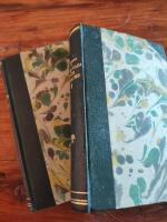 Gustaf vasa och Nils Dacke I & II