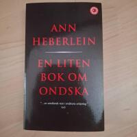 En liten bok om ondska