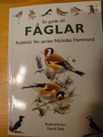 En guide to f&aring;glar