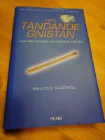Den t&auml;ndande gnistan : Hur sm&aring; faktorer kan f&ouml;r&auml;ndra v&auml;rlden