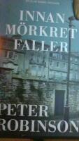 Innan m&ouml;rkret faller