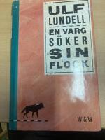 En varg s&ouml;ker sin flock