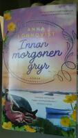 Innan morgonen gryr