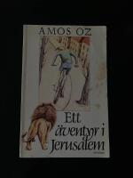 Ett &auml;ventyr i Jerusalem