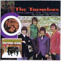 Here come The Tremeloes - The complete 1967 sessions