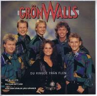 Du ringde fr&aring;n Flen