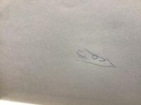 Svea Hunds limerickar