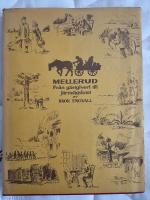 Mellerud Fr&aring;n g&auml;stgiveri till j&auml;rnv&auml;gsknut