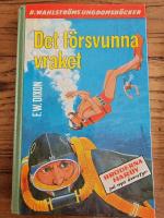 Det f&ouml;rsvunna vraket