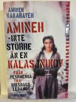 Amineh - inte st&ouml;rre &auml;n en kalasjnikov : fr&aring;n peshmerga till riksdagsledamot