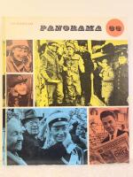 Panorama 66