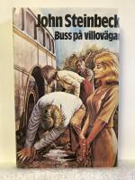 Buss p&aring; villov&auml;gar