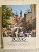 Bor&aring;s Handelscentrum i kulturbygd