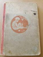 Vill du l&auml;sa ? Brevid-l&auml;sebok f&ouml;r de tv&aring; f&ouml;rsta skol&aring;ren