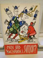 Men vad h&auml;nde i svitjod