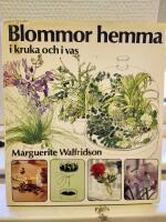 Blommor hemma i kruka och i vas