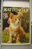 Kattungar, det b&auml;sta som finns
