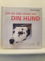 Allt du inte visste om din hund