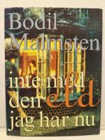 Inte med den eld jag har nu : Dikt f&ouml;r annan dam