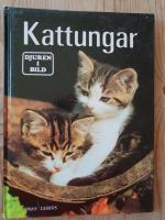 Kattungar