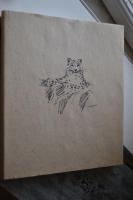 Heja vackra katt : [en bok om sn&ouml;leoparden och hans utrotningshotade kompisar]