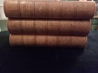 Viktor rydberg samling