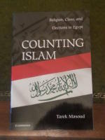 Counting Islam
