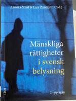 M&auml;nskliga r&auml;ttigheter i svensk belysning