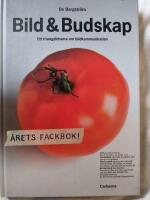 Bild och Budskap