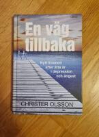En v&auml;g tillbaka : nytt livsmod efter &aring;tta &aring;r i depression och &aring;ngest