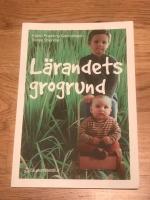 L&auml;randets grogrund : perspektiv och f&ouml;rh&aring;llningss&auml;tt i f&ouml;rskolans l&auml;roplan