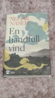 En handfull vind
