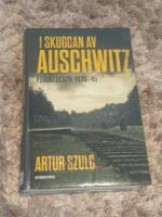 I skuggan av Auschwitz : f&ouml;rintelsen 1939-45