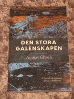 Den stora galenskapen : klimatf&ouml;r&auml;ndringen  och det ot&auml;nkbara
