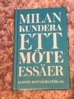 Ett m&ouml;te : ess&auml;er