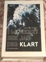 I m&ouml;rkret ser jag dig klart
