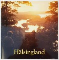 H&auml;lsingland