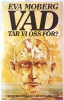 Vad tar vi oss f&ouml;r? : tankar samlade i en sansl&ouml;s tid