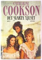 Det svarta ljuset : [roman]