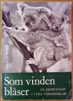  Som vinden bl&aring;ser