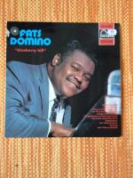 Blueberry Hill samlings - LP